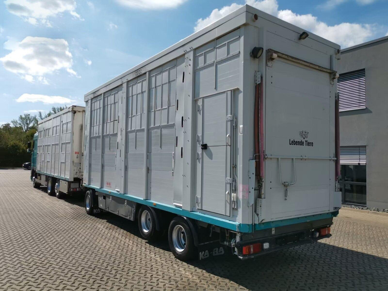 DAF XF 105.460 - Animal transporter + trailer - شاحنة نقل المواشي شاحنة: صور 4 DAF XF 105.460 - Animal transporter + trailer - شاحنة نقل المواشي شاحنة: صور 4