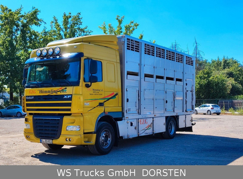 DAF XF410 Menke Doppelstock - شاحنة نقل المواشي شاحنة: صور 1 DAF XF410 Menke Doppelstock - شاحنة نقل المواشي شاحنة: صور 1