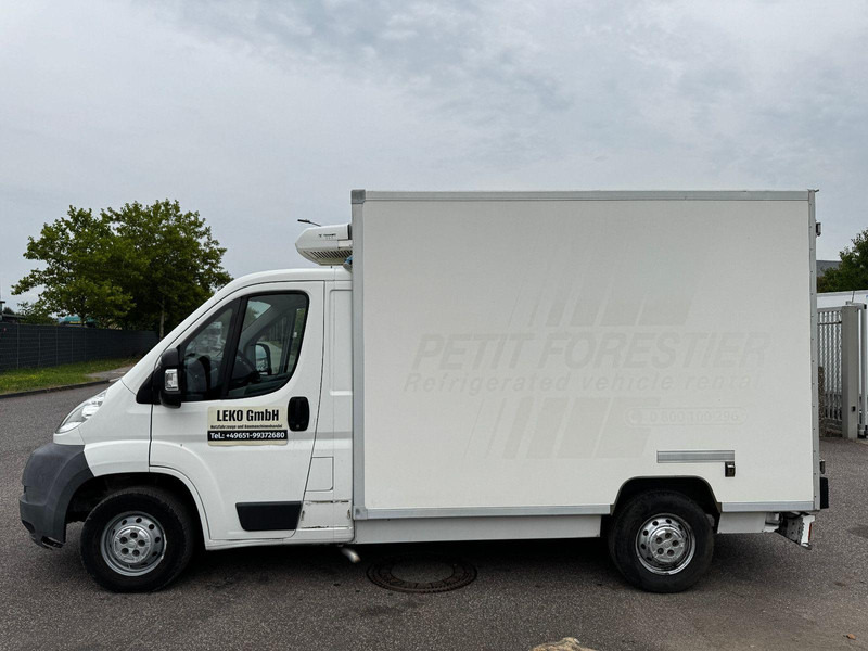 Fiat Ducato 2,3 - الشاحنات الصغيرة المبردة: صور 4 Fiat Ducato 2,3 - الشاحنات الصغيرة المبردة: صور 4