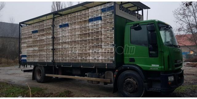 Iveco Eurocargo 180E28 - شاحنة نقل المواشي شاحنة: صور 2 Iveco Eurocargo 180E28 - شاحنة نقل المواشي شاحنة: صور 2