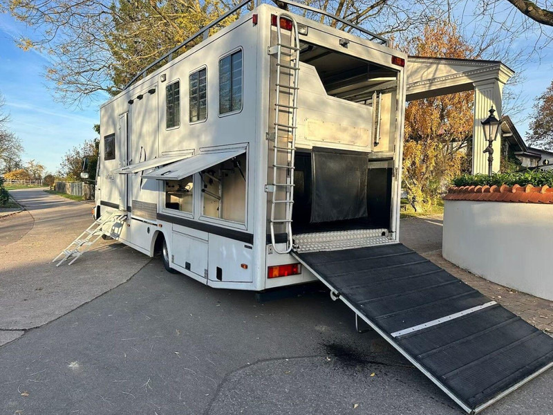 MAN 10.224 - شاحنة نقل خيل: صور 5 MAN 10.224 - شاحنة نقل خيل: صور 5