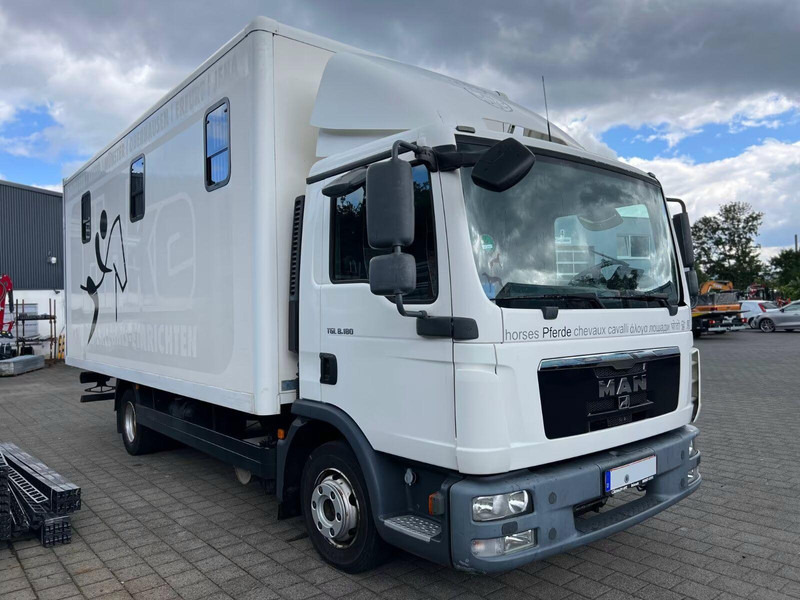 MAN TGL 8.180 - Horse transporter - شاحنة نقل خيل: صور 2 MAN TGL 8.180 - Horse transporter - شاحنة نقل خيل: صور 2