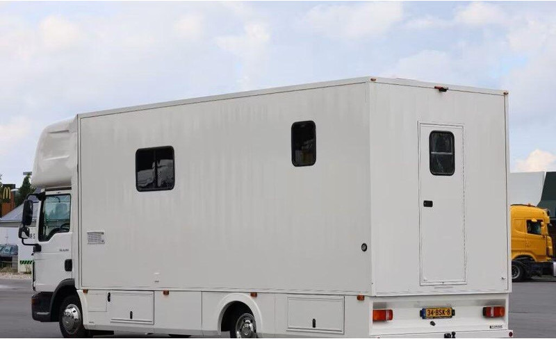 MAN TGL 8.190 - - شاحنة نقل خيل: صور 4 MAN TGL 8.190 - - شاحنة نقل خيل: صور 4