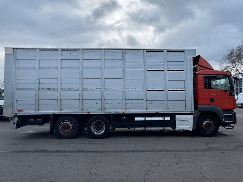 MAN TGS 26.440 - Animal transporter - شاحنة نقل المواشي شاحنة: صور 4 MAN TGS 26.440 - Animal transporter - شاحنة نقل المواشي شاحنة: صور 4