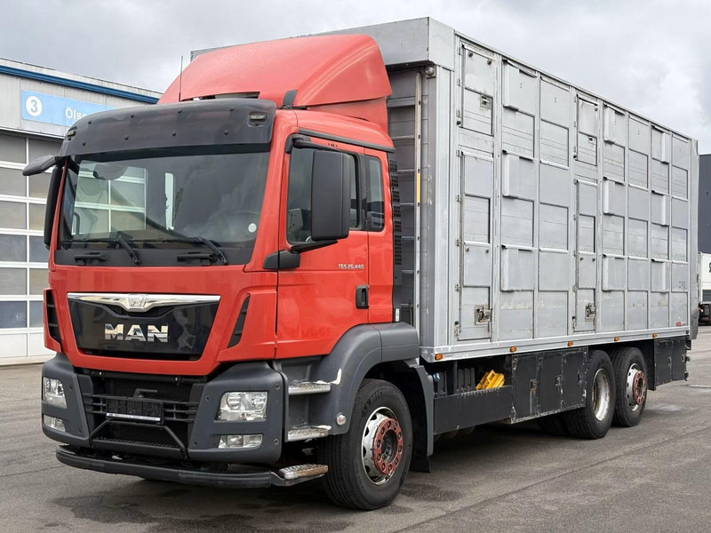MAN TGS 26.440 - Animal transporter - شاحنة نقل المواشي شاحنة: صور 1 MAN TGS 26.440 - Animal transporter - شاحنة نقل المواشي شاحنة: صور 1