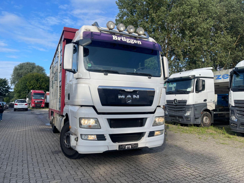 MAN TGX 26.400 6x2-2 LL 3 Stück Finkl Hubdach - شاحنة نقل المواشي شاحنة: صور 4 MAN TGX 26.400 6x2-2 LL 3 Stück Finkl Hubdach - شاحنة نقل المواشي شاحنة: صور 4