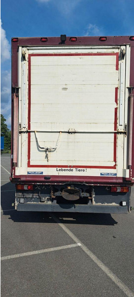 Mercedes-Benz Actros 1851 - شاحنة نقل المواشي شاحنة: صور 5 Mercedes-Benz Actros 1851 - شاحنة نقل المواشي شاحنة: صور 5