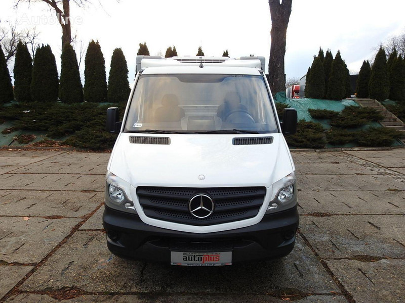 Mercedes-Benz SPRINTER 313 Izotermes - مبردة شاحنة: صور 5 Mercedes-Benz SPRINTER 313 Izotermes - مبردة شاحنة: صور 5