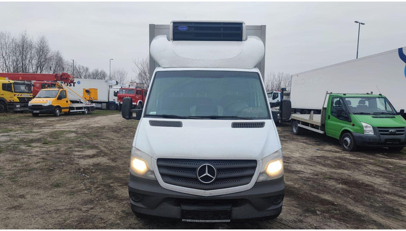 Mercedes-Benz Sprinter 316 cdi - Carrier Xarios 500 frigo - 3,5t - 220V - الشاحنات الصغيرة المبردة: صور 5 Mercedes-Benz Sprinter 316 cdi - Carrier Xarios 500 frigo - 3,5t - 220V - الشاحنات الصغيرة المبردة: صور 5