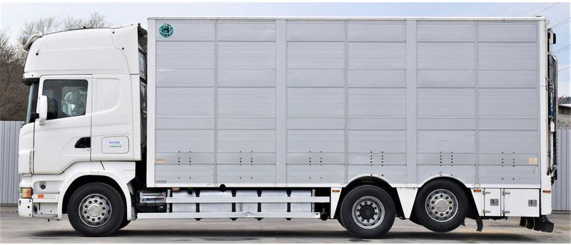 Scania R 500 - شاحنة نقل المواشي شاحنة: صور 3 Scania R 500 - شاحنة نقل المواشي شاحنة: صور 3