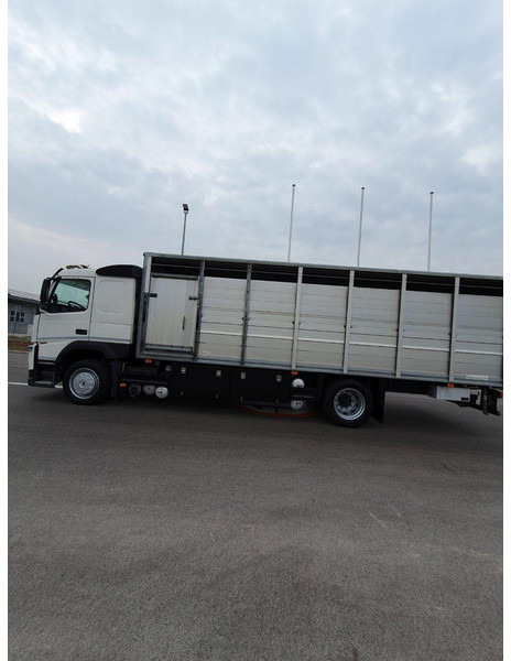 Volvo FM 500 Viehtransporter ( Rind / beef ) - شاحنة نقل المواشي شاحنة: صور 5 Volvo FM 500 Viehtransporter ( Rind / beef ) - شاحنة نقل المواشي شاحنة: صور 5