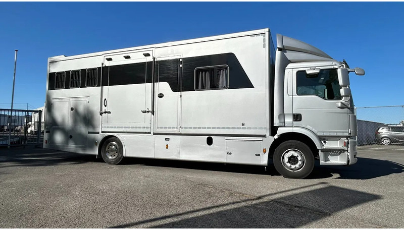MAN TGM 15.250 5 horses and living brand Krismar - شاحنة نقل خيل: صور 1 MAN TGM 15.250 5 horses and living brand Krismar - شاحنة نقل خيل: صور 1