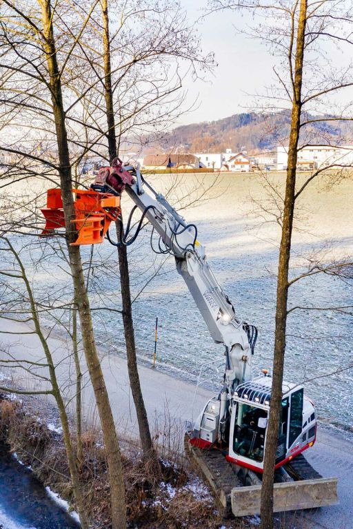 Westtech Woodcracker CL320 Fällkopf Fällgreifer - ملحقات - معدات الغابات: صور 5 Westtech Woodcracker CL320 Fällkopf Fällgreifer - ملحقات - معدات الغابات: صور 5