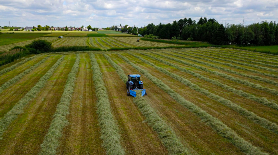 DOZAMECH HERON 225 Hay Turner and Rake - لمّامَة القش: صور 3 DOZAMECH HERON 225 Hay Turner and Rake - لمّامَة القش: صور 3