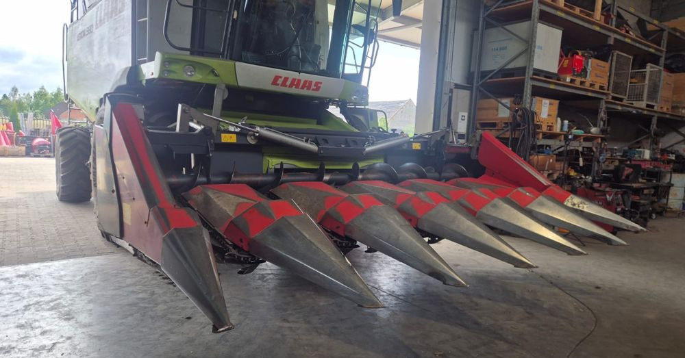 Dominoni - حصادات الذرة: صور 1 Dominoni - حصادات الذرة: صور 1