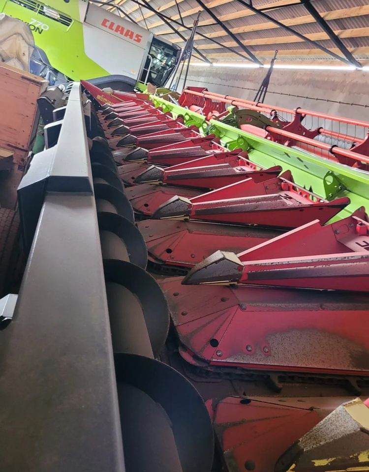 Olimac Drago II - حصادات الذرة: صور 2 Olimac Drago II - حصادات الذرة: صور 2