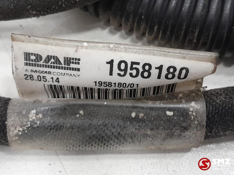 DAF Occ koplampkabelboom DAF - الكابلات/ الأسلاك - شاحنة: صور 3 DAF Occ koplampkabelboom DAF - الكابلات/ الأسلاك - شاحنة: صور 3