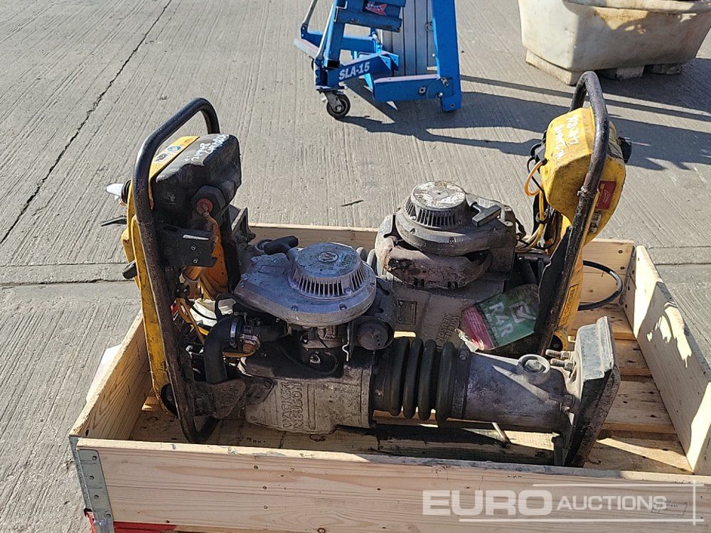 Wacker Neuson Rammer BS50-2 - آلة أسفلت: صور 2 Wacker Neuson Rammer BS50-2 - آلة أسفلت: صور 2