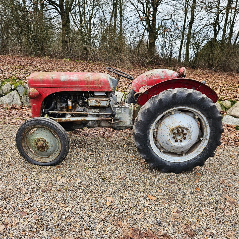 Ferguson 35 - جرار: صور 4 Ferguson 35 - جرار: صور 4