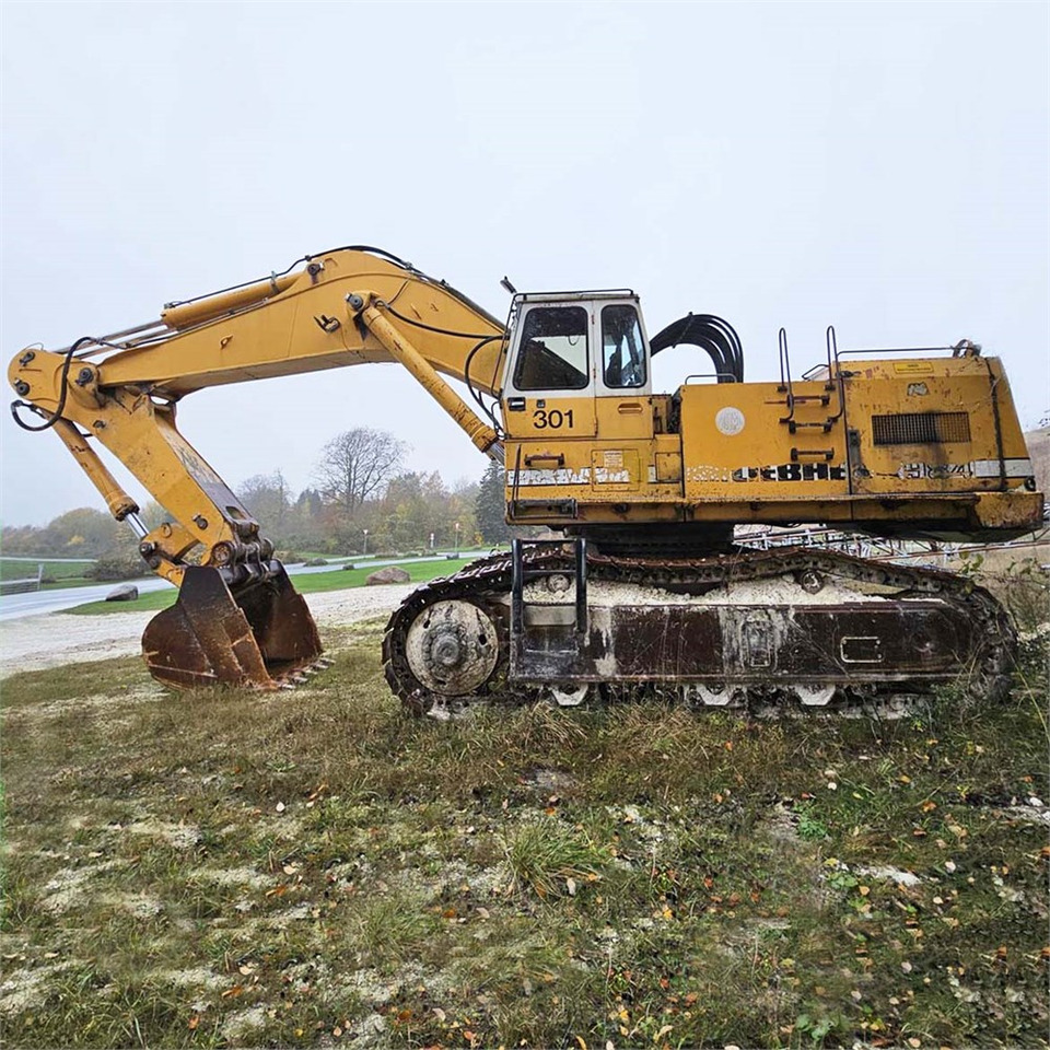 حفارات زحافة Liebherr R984: صور 6 حفارات زحافة Liebherr R984: صور 6