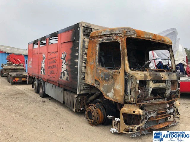 Mercedes-Benz R485-13A/C22.5 – 2.929 P/N: 748595 - التفاضلية والعتاد - شاحنة: صور 1 Mercedes-Benz R485-13A/C22.5 – 2.929 P/N: 748595 - التفاضلية والعتاد - شاحنة: صور 1