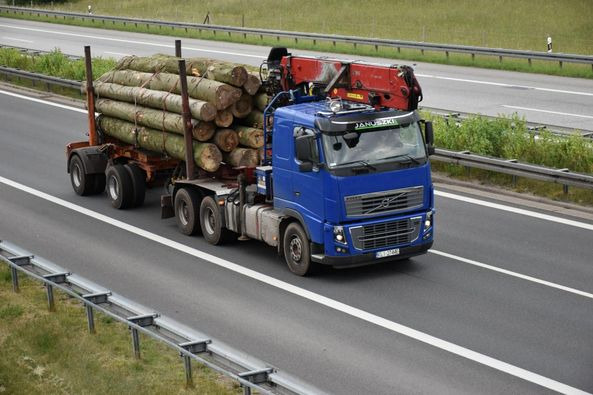 VOLVO FH16 700 6×4 - شاحنة قطع الأشجار: صور 2 VOLVO FH16 700 6×4 - شاحنة قطع الأشجار: صور 2