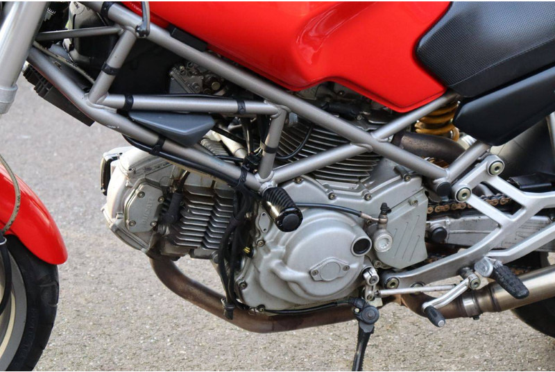 دراجة بخارية Ducati Monster 600: صور 15 دراجة بخارية Ducati Monster 600: صور 15