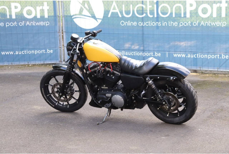 Harley-Davidson Sporster XL 883 Iron - دراجة بخارية: صور 3 Harley-Davidson Sporster XL 883 Iron - دراجة بخارية: صور 3