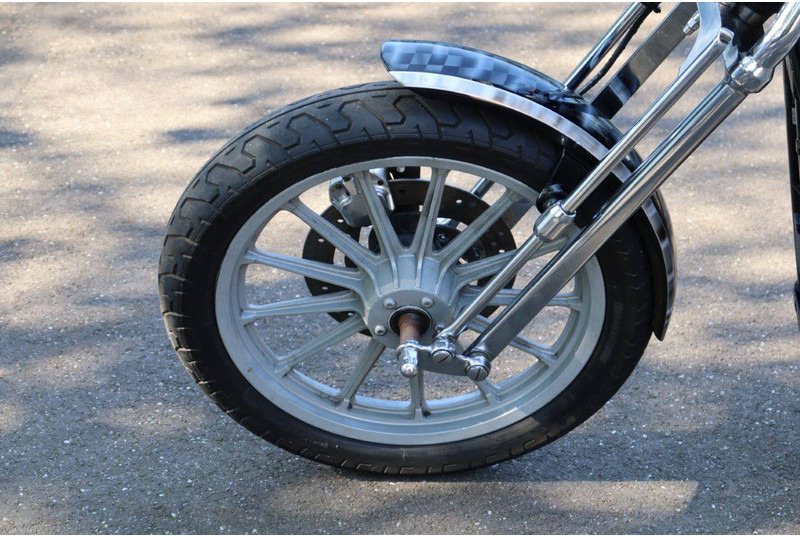 دراجة بخارية Harley-Davidson Sportster 883 Springer: صور 10