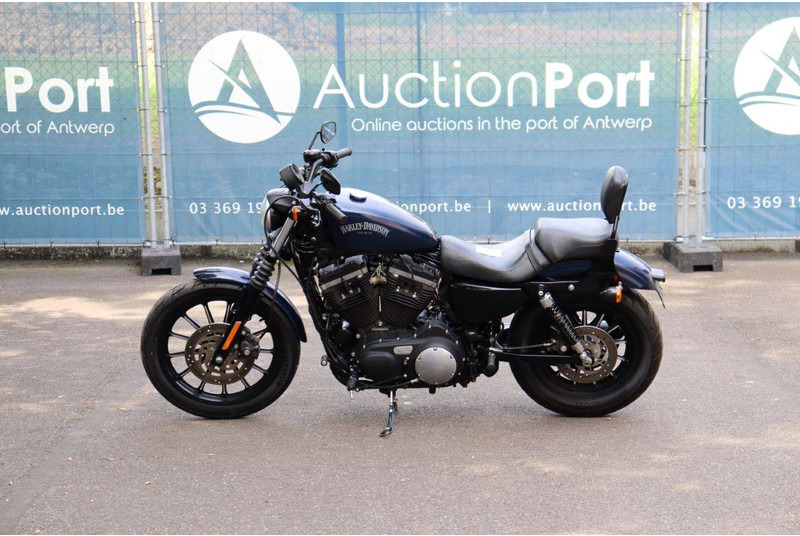Harley-Davidson Sportster XL883 Iron - دراجة بخارية: صور 2 Harley-Davidson Sportster XL883 Iron - دراجة بخارية: صور 2