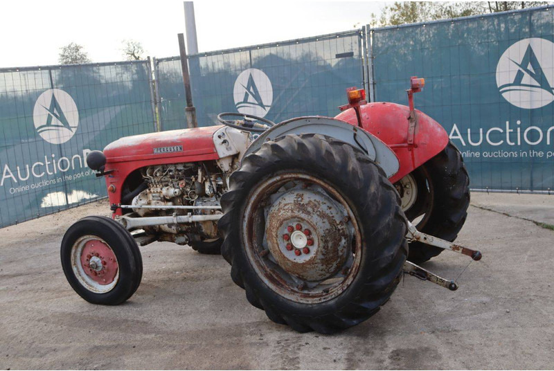 Massey Ferguson Ferguson Vintage Tractor - جرار: صور 3 Massey Ferguson Ferguson Vintage Tractor - جرار: صور 3