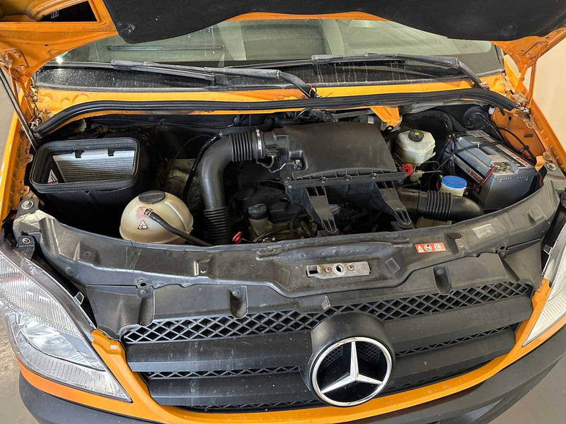 فان Mercedes-Benz Sprinter: صور 14