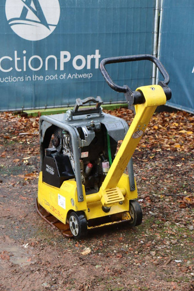 Neuson DPU3050 - صفائح اهتزازية: صور 3 Neuson DPU3050 - صفائح اهتزازية: صور 3