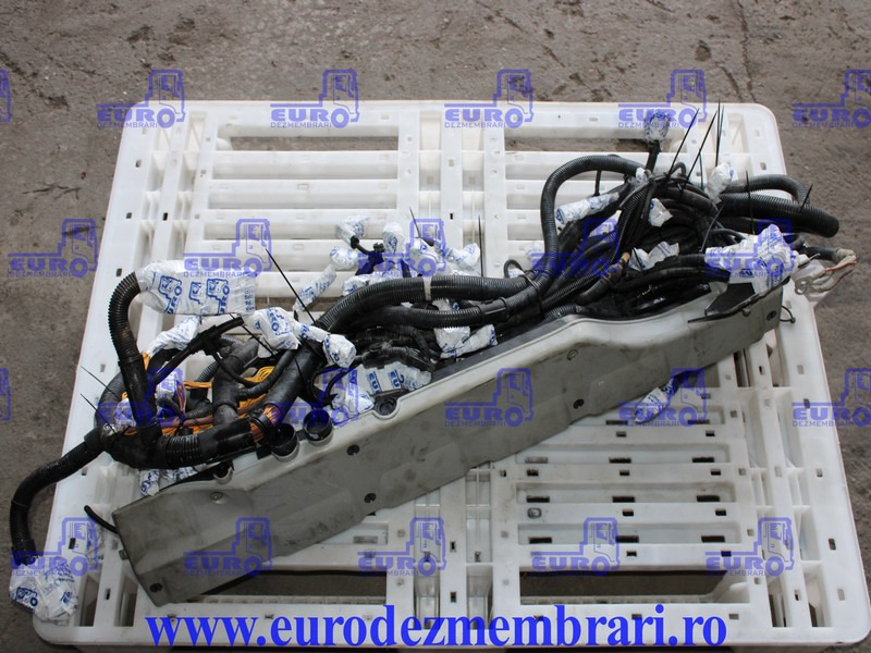 INSTALATIE ELECTRICA MOTOR MAN D2676 LF51 81.25459.6956 - الكابلات/ الأسلاك - شاحنة: صور 1 INSTALATIE ELECTRICA MOTOR MAN D2676 LF51 81.25459.6956 - الكابلات/ الأسلاك - شاحنة: صور 1