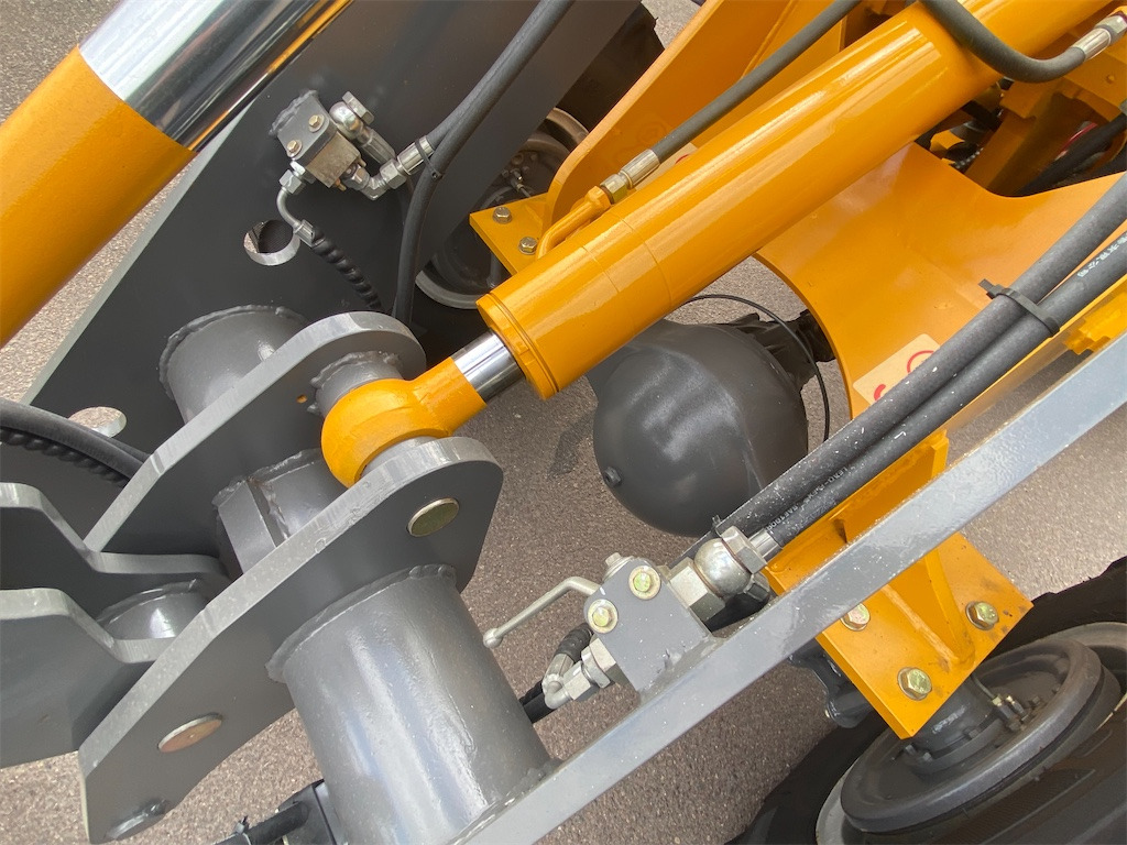 اللودر بعجل Everun ER412 PRO: صور 16