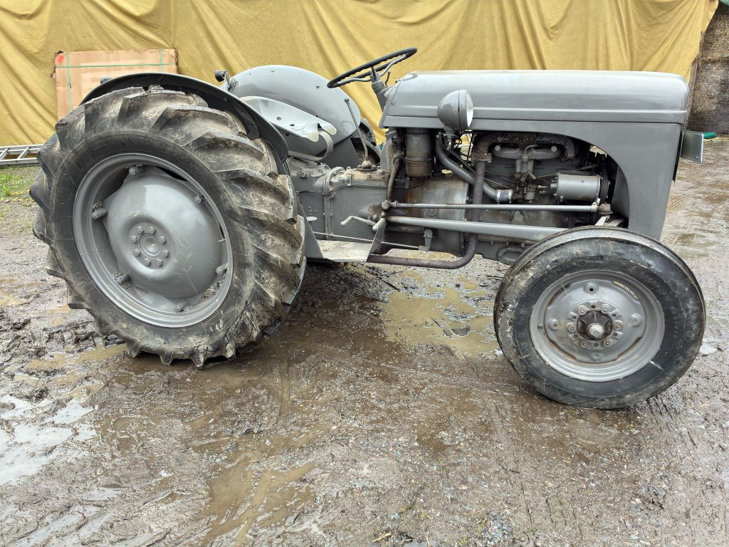 FERGUSON TED 20 - جرار: صور 4 FERGUSON TED 20 - جرار: صور 4