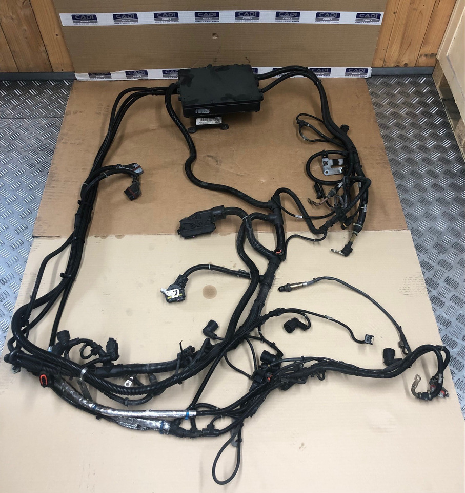 FASCIA CAVI MOTORE MAN 81254246448 - الكابلات/ الأسلاك - شاحنة: صور 1 FASCIA CAVI MOTORE MAN 81254246448 - الكابلات/ الأسلاك - شاحنة: صور 1