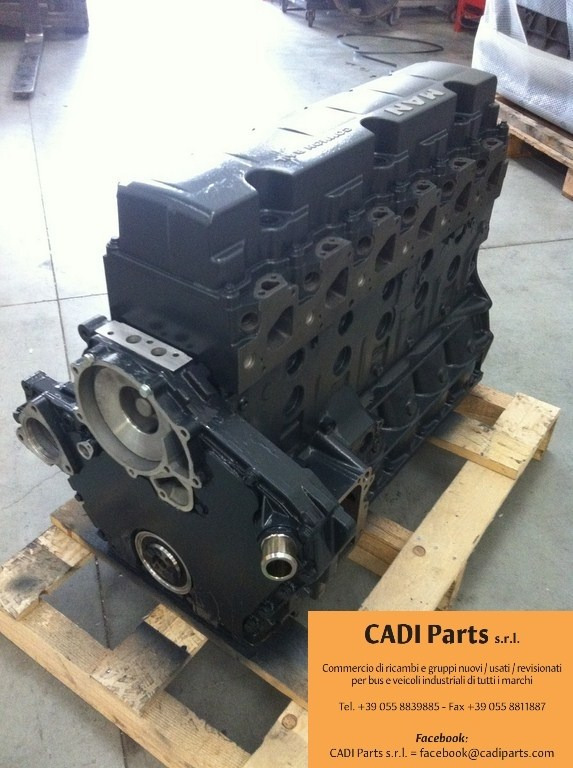 MOTORE MAN D0836LFL64 - المحرك: صور 1 MOTORE MAN D0836LFL64 - المحرك: صور 1