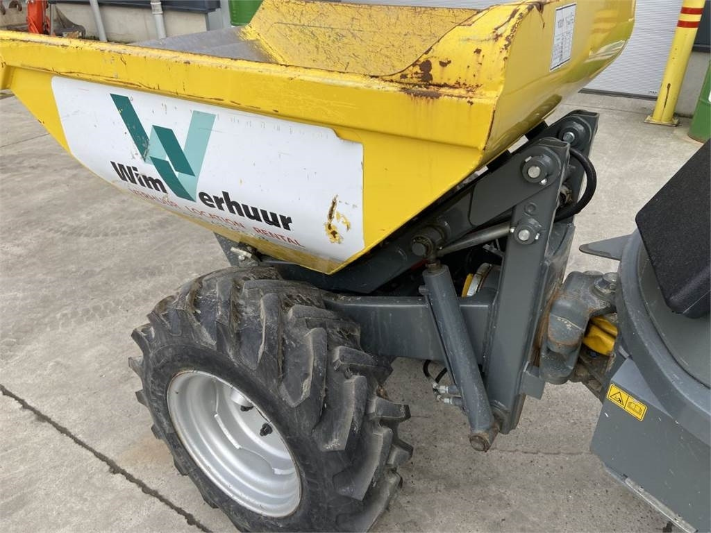 Wacker Neuson Neuson 1001 (5355) - شاحنة قلابة صغيرة: صور 5 Wacker Neuson Neuson 1001 (5355) - شاحنة قلابة صغيرة: صور 5